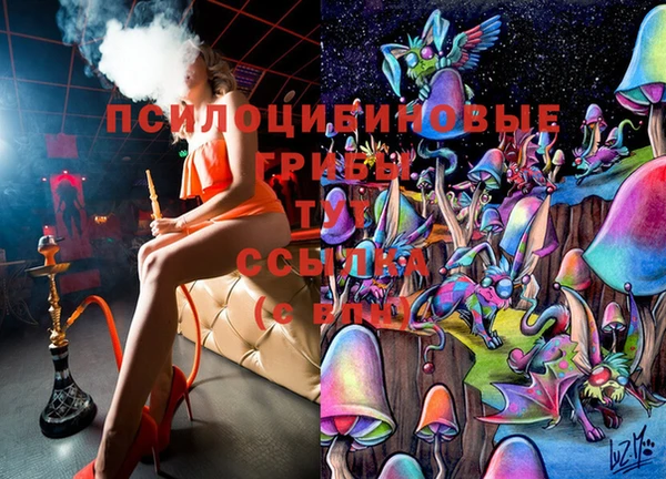 винт Баксан