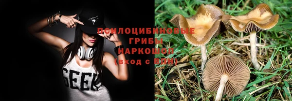твердый Балабаново