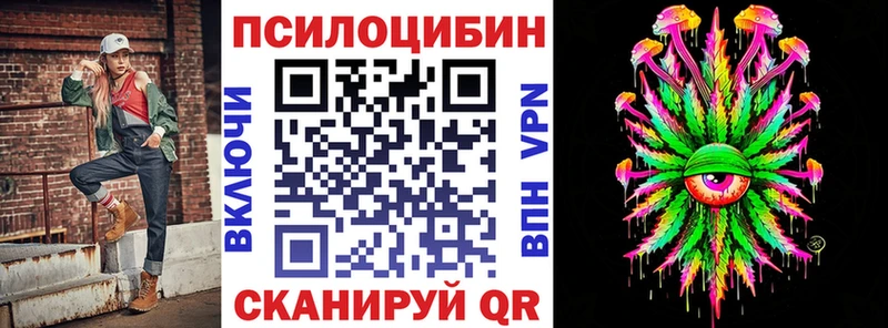 продажа наркотиков  Городище  Псилоцибиновые грибы GOLDEN TEACHER 